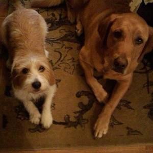 Meet your Posher, Rita